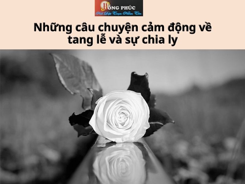 tổ chức tang lễ