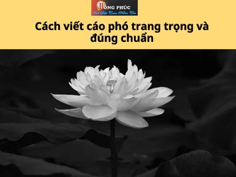 Cách viết cáo phó trang trọng và đúng chuẩn
