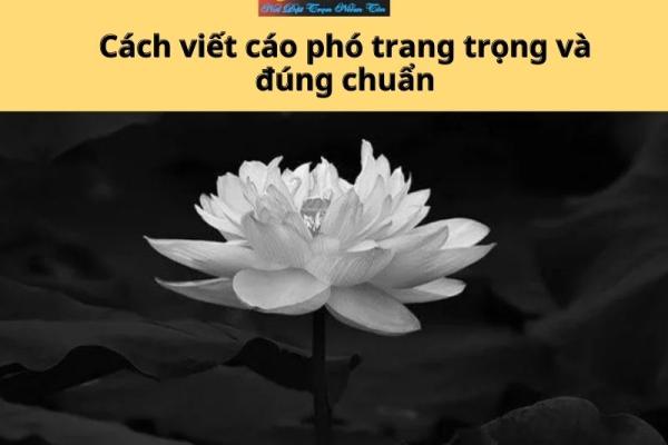 Cách viết cáo phó trang trọng và đúng chuẩn